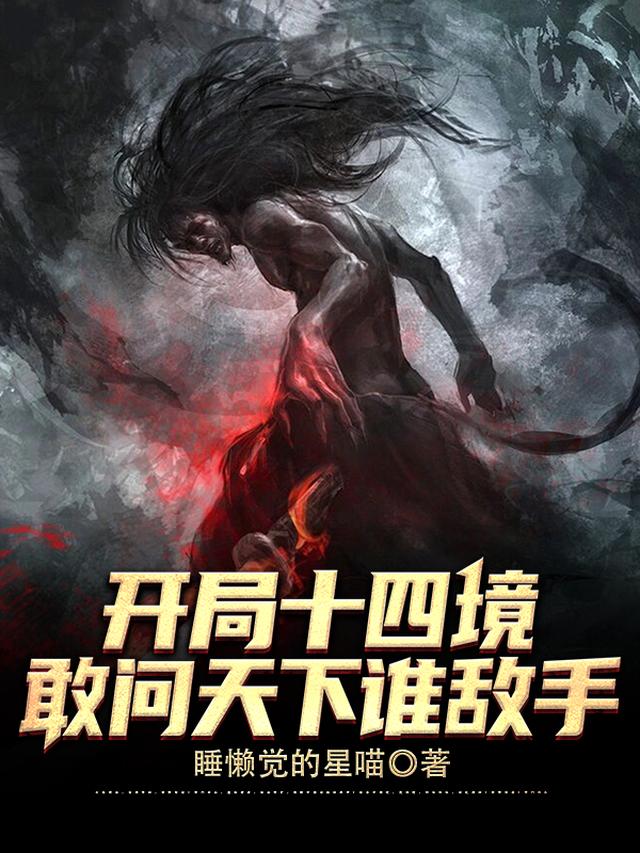 开局十四境，敢问天下谁敌手