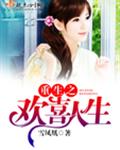 重生之欢喜人生